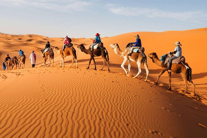 Tour From Marrakech to the Desert 4 Days - Key Points