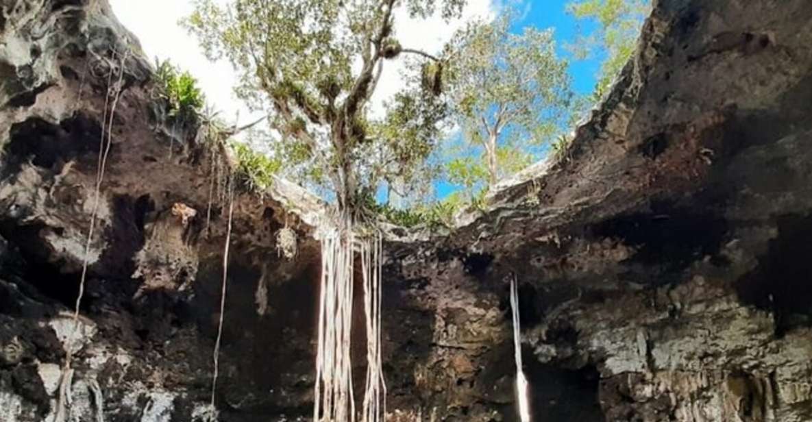 Tour of 3 Cenotes in Merida - Key Points