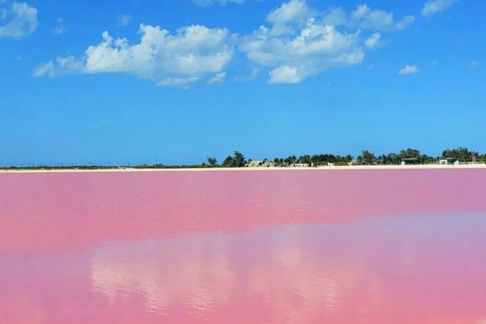 Tour to Las Coloradas and Rio Lagartos From Merida - Key Points