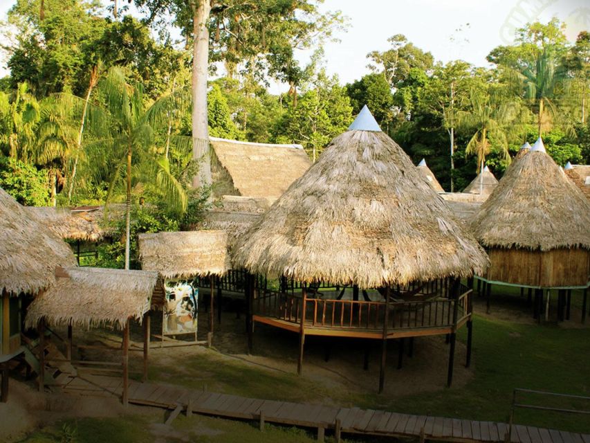 Tour to the Indigenous Communities of the Amazon Iquitos - Key Points