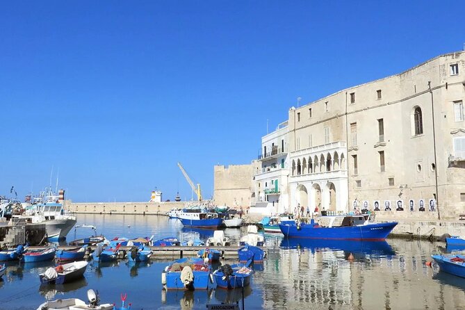 Town of Puglia Private Day Tour - Key Points