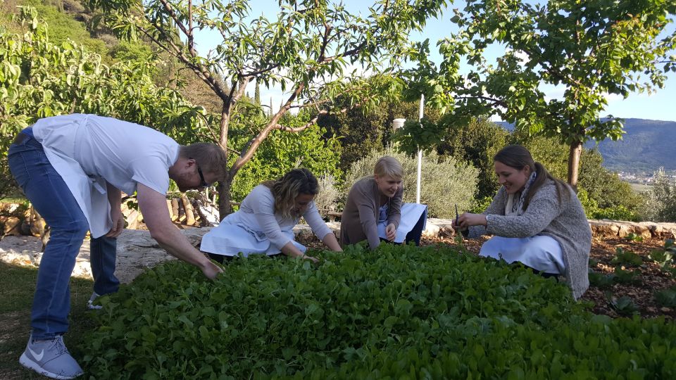 Traditional Dalmatian Cooking Class From Dubrovnik - Key Points
