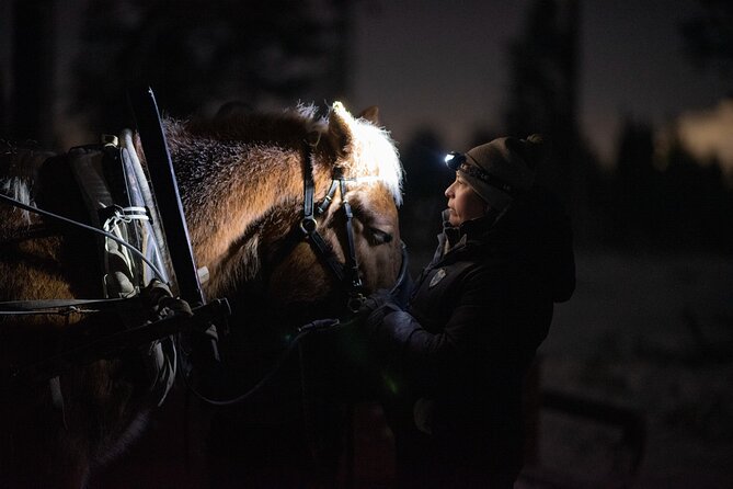 Traditional Finnhorse Sleigh Ride at SCV (3km) - Booking Confirmation and Accessibility