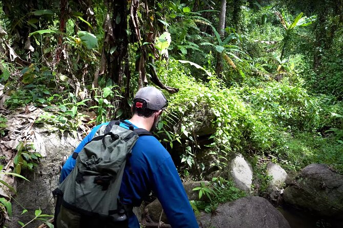 Trek to a Jungle Waterfall - Experience the Thrill of Trekking