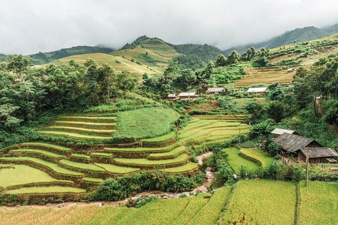 Trekking Sapa 1 Day - the Best Terraced Rice Field - Key Points