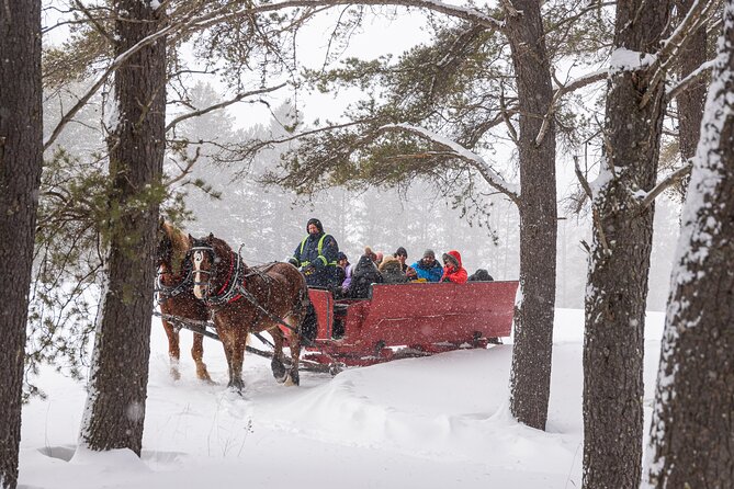 Tremblant Sleighride - Key Points