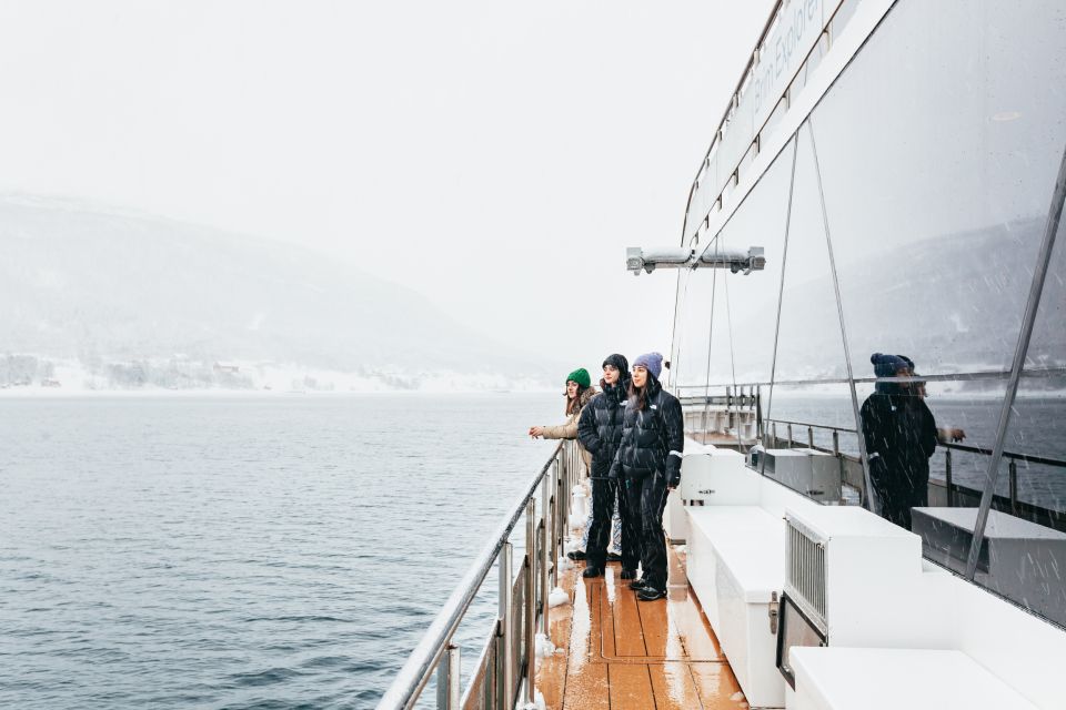 Tromsø: Arctic Fjord Cruise by Hybrid-Electric Catamaran - Key Points