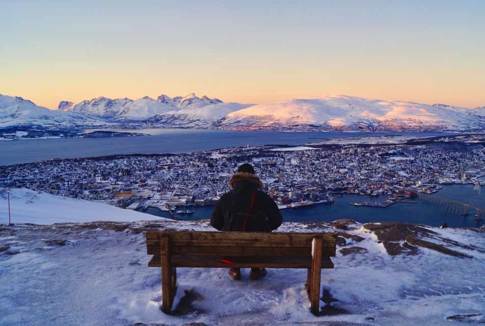 Tromso: Arctic Panorama Cable Car Excursion - Key Points
