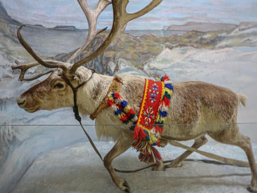 Tromsø: Discover Sami Culture Museum Expedition - Key Points