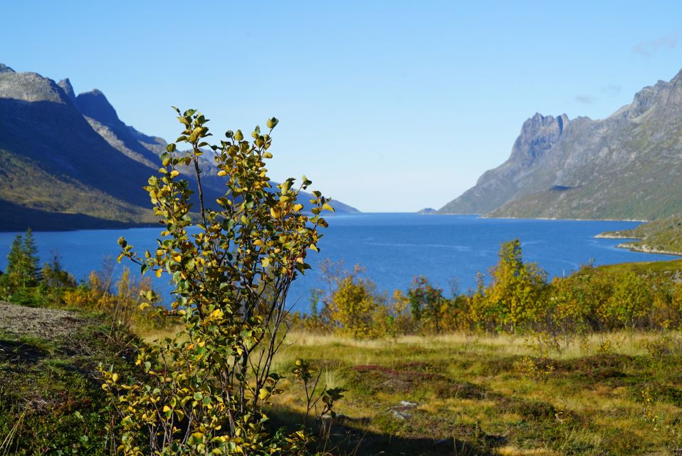 Tromsø: Fjord Sightseeing in a Tesla X Luxury Electric Car