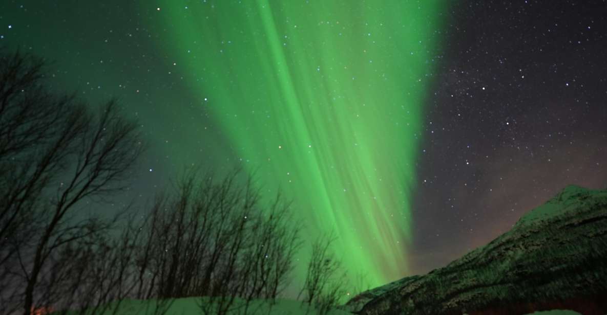 Tromsø: Guided Tours to See the Northern Lights: - Key Points