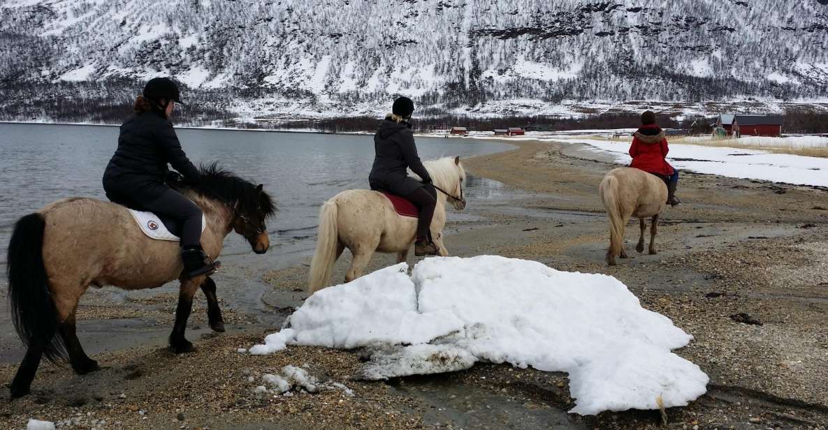 Tromsø: Lyngen Horseback Riding Experience - Key Points