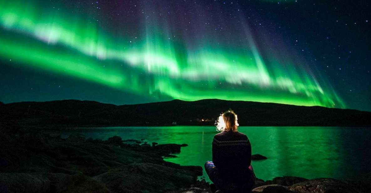 Tromsø: Northern Lights Chase Minibus Tour With Campfire - Key Points