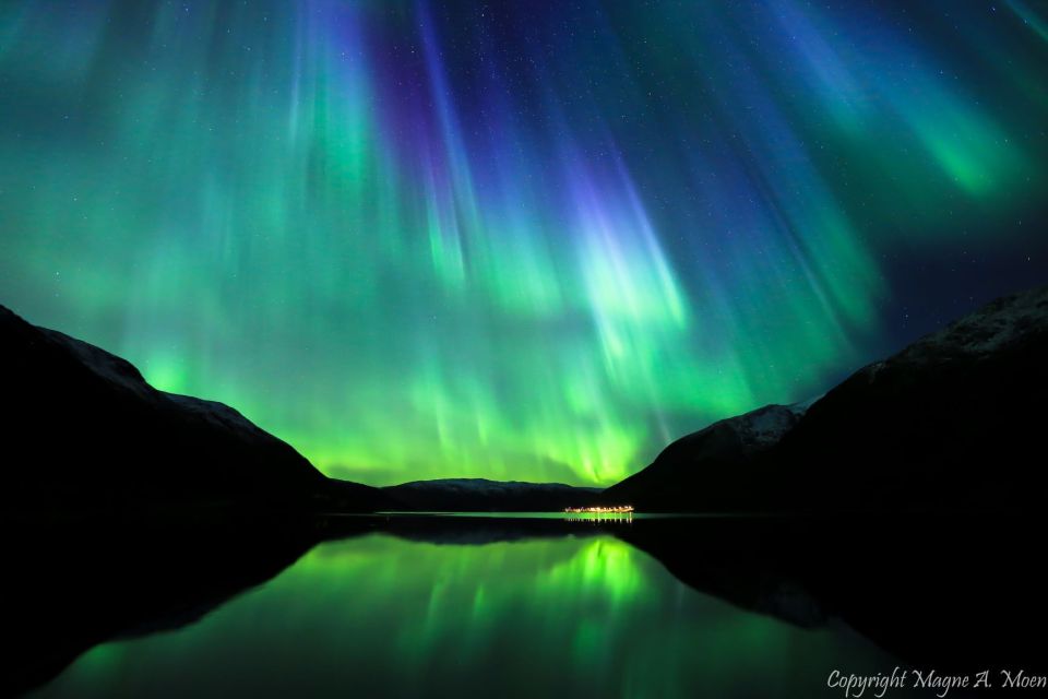 Tromsø: Northern Lights Chase With Free Photos - Key Points