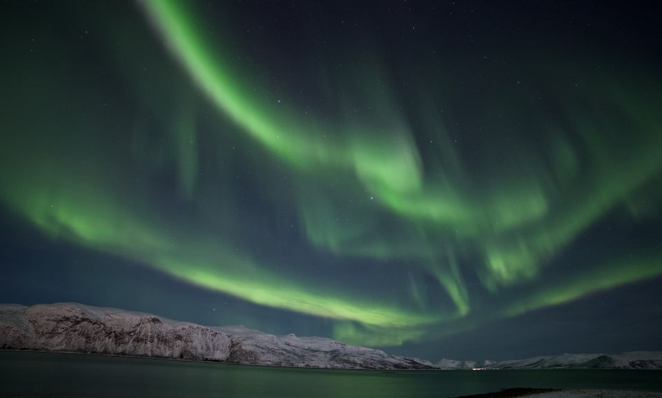Tromsø: Northern Lights Guided Bus Tour - Key Points