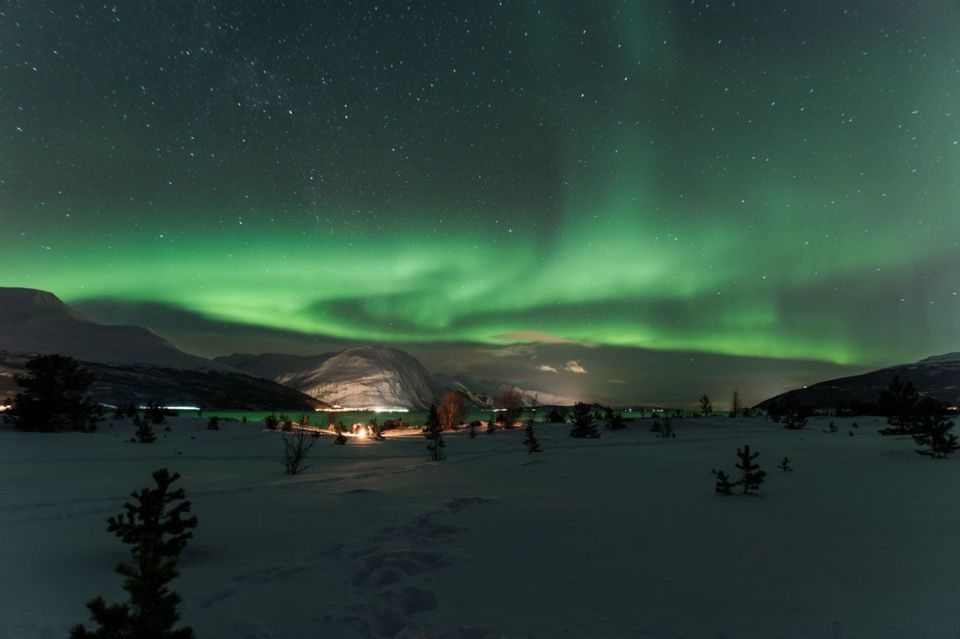 Tromsø: Northern Lights Photography Tour - Key Points