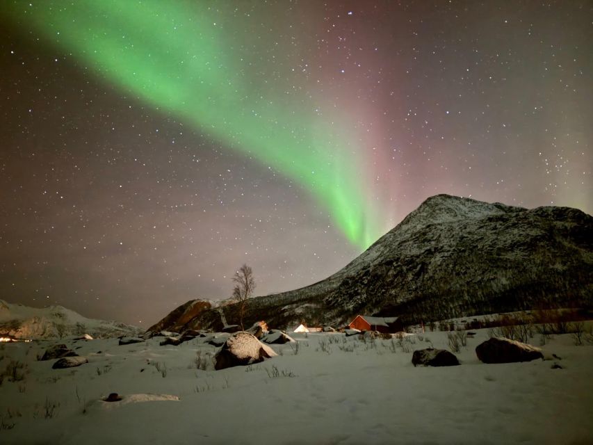 Tromsø: Northern Lights Tour With Hot Food and Drinks - Key Points