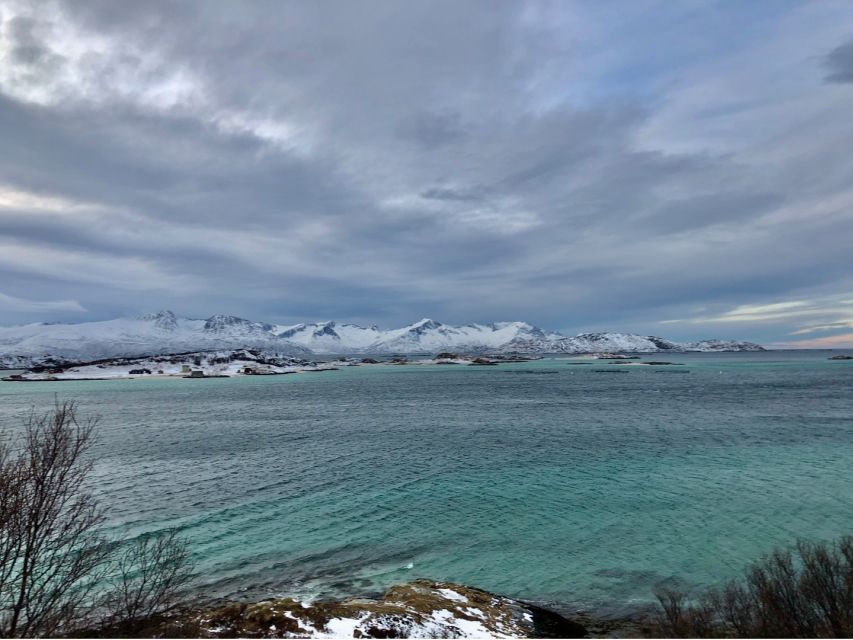 Tromsø. Tour Around Fjords & Islands, Including Sommarøy. - Tour Duration and Booking Information