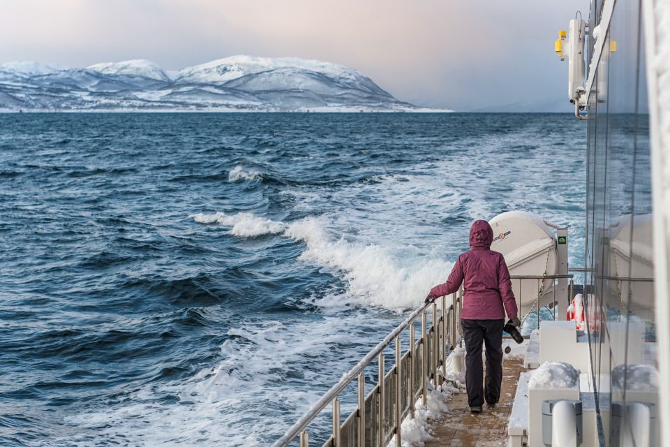 Tromsø: Whale Watching Tour by Hybrid-Electric Catamaran - Key Points