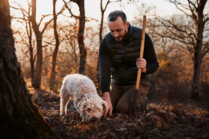 Truffle Hunting on Lake Bracciano With Lunch - Key Points