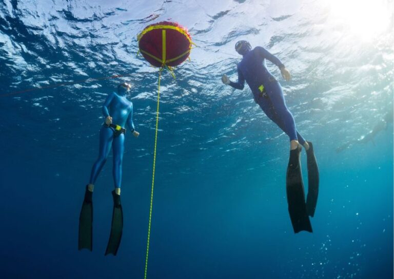 Try Freediving Experience in Arrábida Marine Reserve