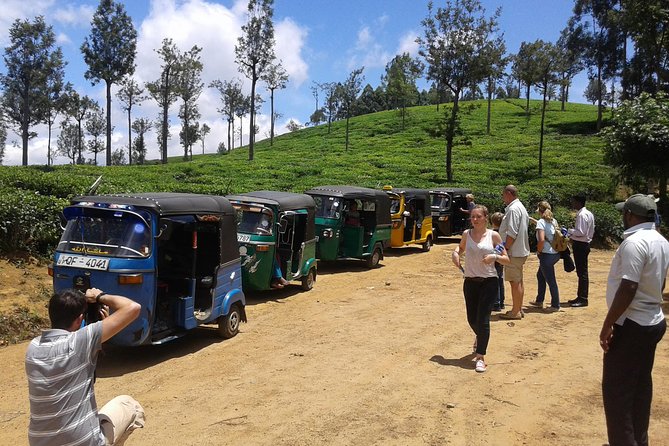 Tuk Tuk Safari and Picnic in the Tea Plantation From Ella,Haputale & Bandarawela - Key Points