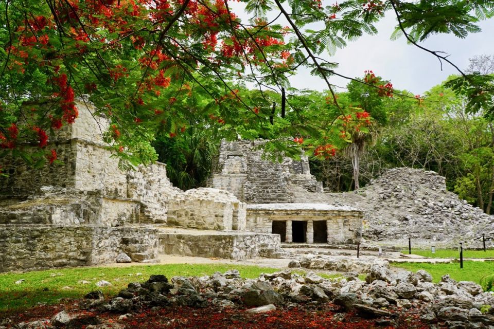 Tulum: Sian Ka'an Lagoons and Cenote Escondido Tour - Key Points