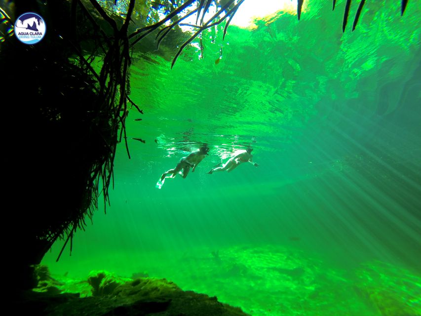 Tulum: Snorkeling Adventure in Cenote and Reef - Key Points