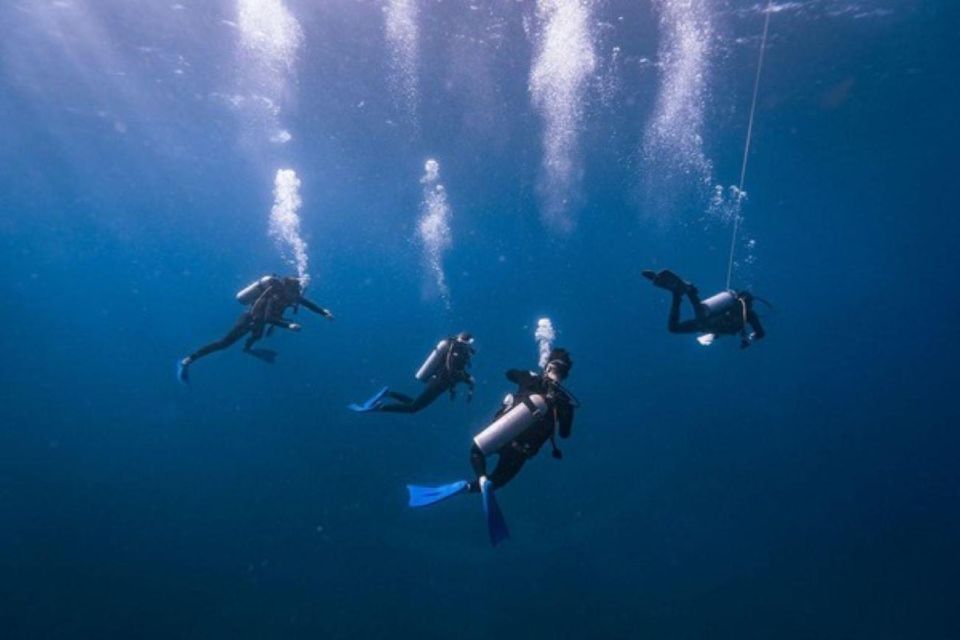 Tulum: Try Scuba Diving Adventure - Key Points