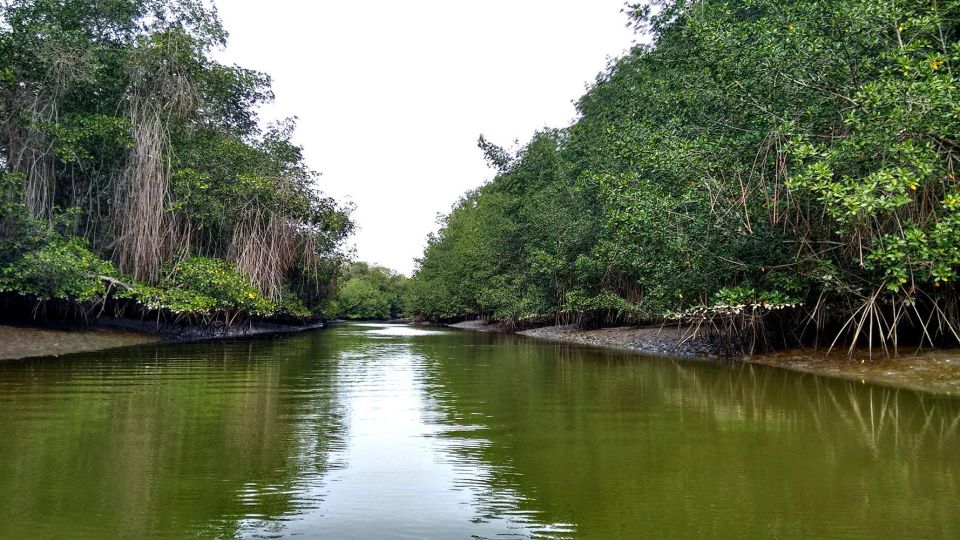 Tumbes: Puerto Pizarro Islands and Mangroves - Key Points