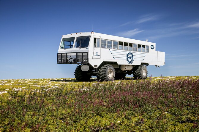 Tundra Buggy Summer Day Tours - Key Points