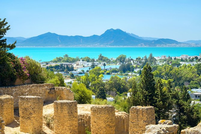 Tunis Full-Day Group Tour: Carthage, Sidi Bou Said and Medina - Key Points