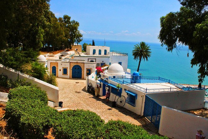 Tunis Like a Local: Customized Private Tour - Key Points
