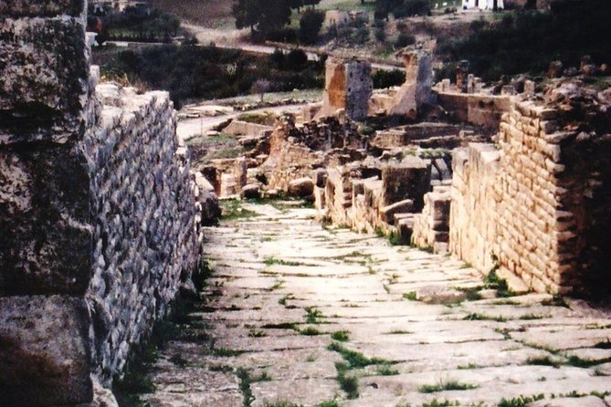 Tunis Private Dougga Guided Tour  - Tunisia - Key Points