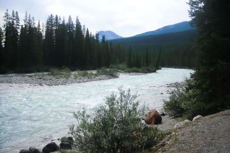 Tunnel Mountain Trail: Nature Tour With Audio Guide - Key Points