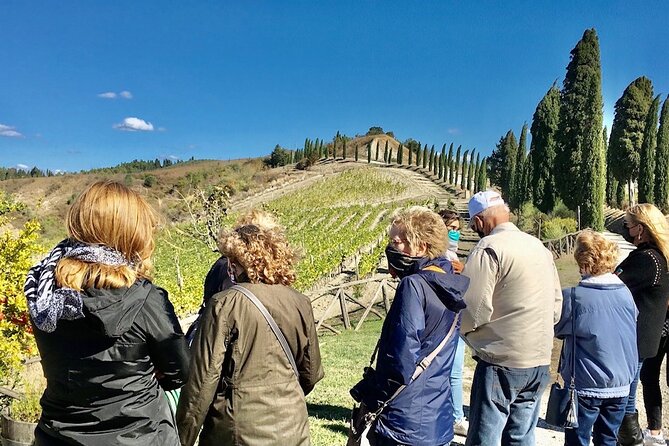 Tuscany and Wine Tasting Private Tour From Livorno - Key Points