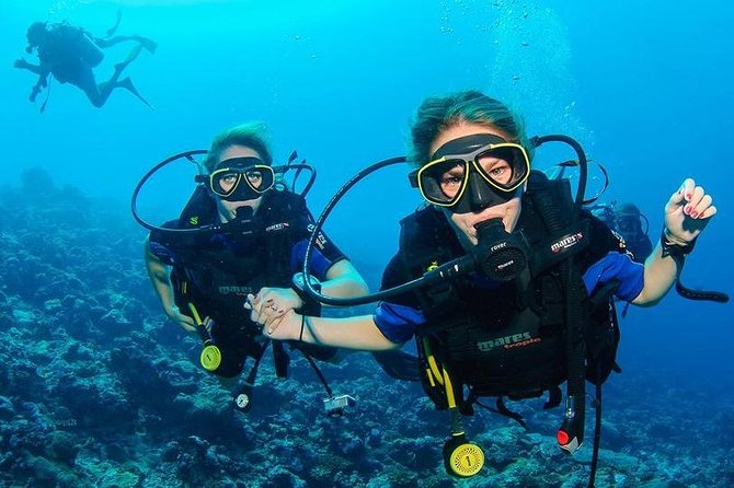 Two Dives for Certified Divers and Snorkeling in Fujairah - Key Points