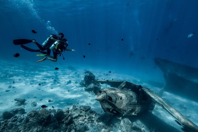 Two-Hour Introductory Dive From Papeete, Tahiti - Key Points