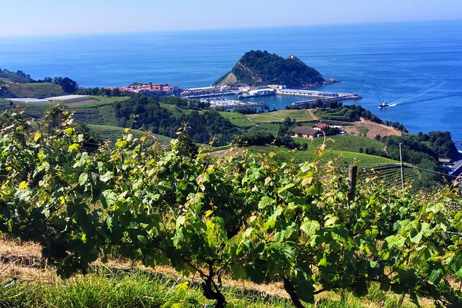 TXAKOLI Vineyards HIKE, ZUMAIA and GETARIA - Private Outdoor & Gastronomic Tour - Key Points