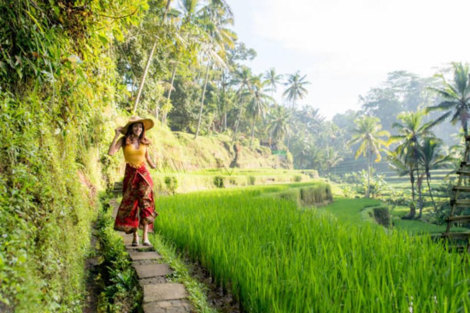 Ubud and Kintamani With Holy Water Temple Private Tour - Key Points