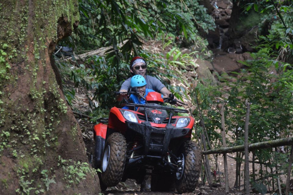 Ubud; ATV Quad Bike Adventure With Gorilla Statue - Key Points