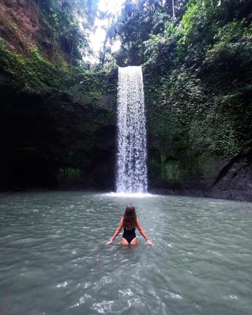 Ubud: Bali Swing, Monkey Forest, Waterfall Tour & Lunch - Key Points