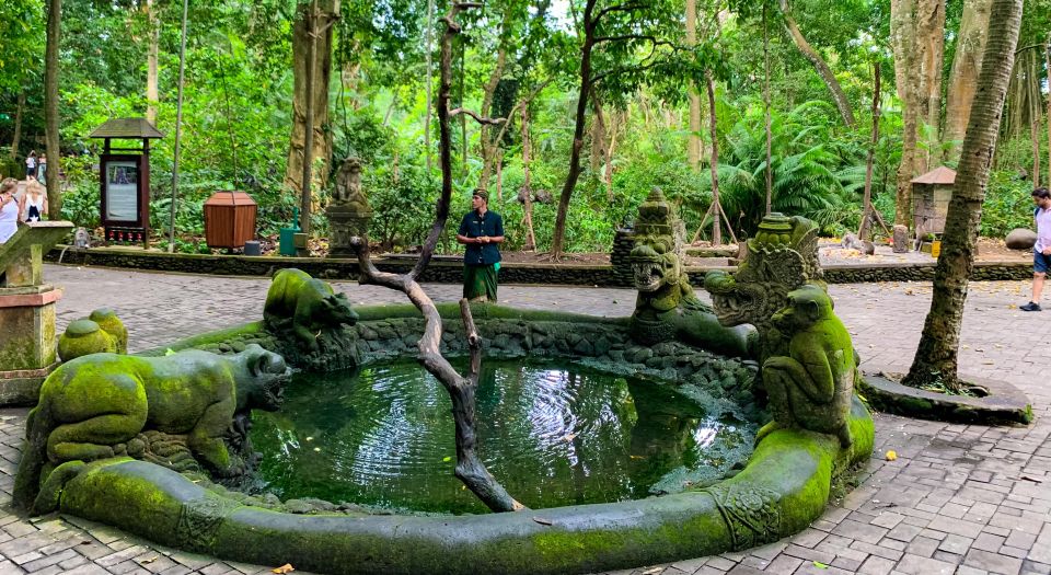 Ubud: Monkey Forest, Rice Terrace & Waterfall Guided Tour - Key Points