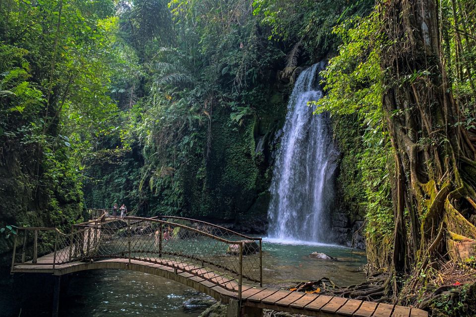 Ubud: Monkey Forest, Waterfall & Rice Terraces Guided Tour - Key Points