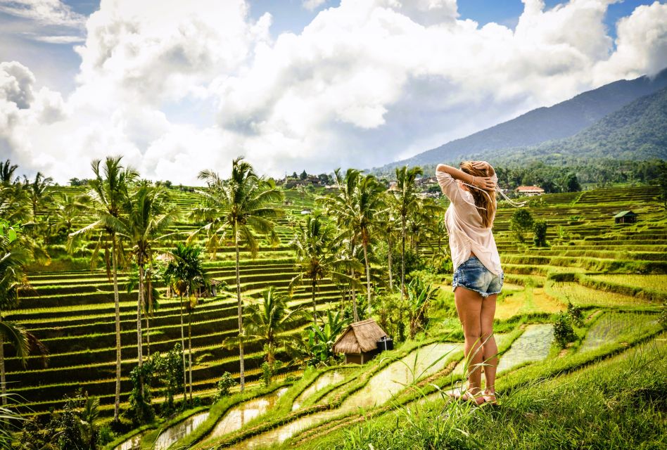 Ubud: Rice Terraces, Waterfall, and Monkey Forest Day Tour - Key Points