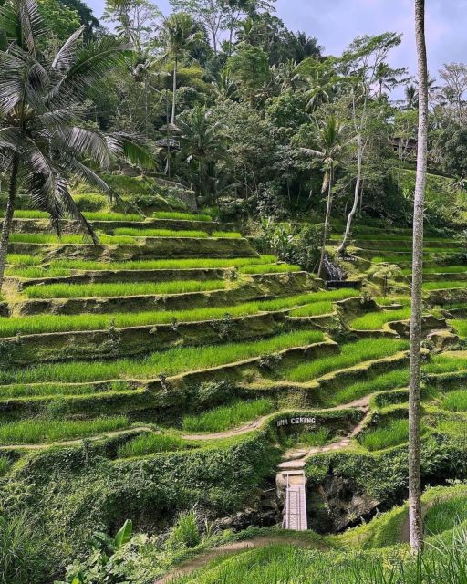 Ubud Scenic Waterfalls, Temple With Coffee - All Inclusive - Key Points