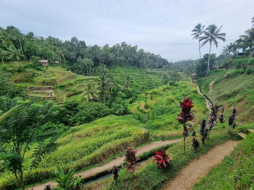 Ubud Tour : Ubud Higlight Culture,Tradition and Nature - Key Points