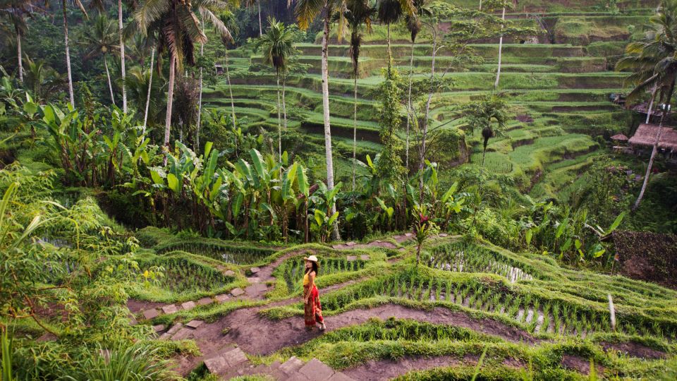 Ubud Tours All In : Monkey Forest, Tegalalang, Tirta Empul - Key Points