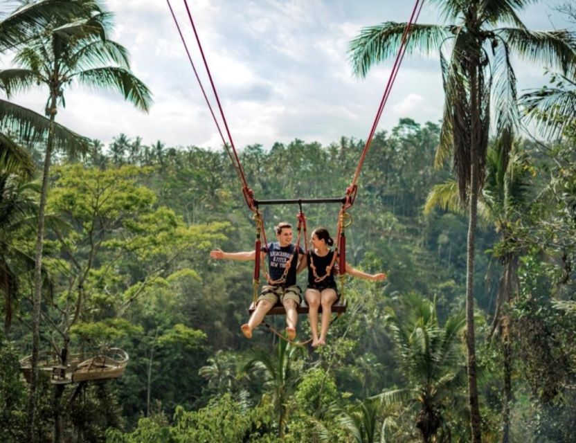 Ubud:Private Exotic Waterfalls,Rice Terraces,Temple & Swing - Key Points