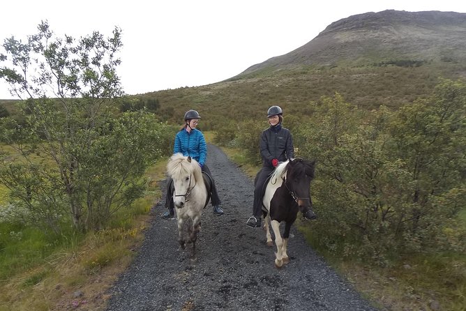 Ulfarsfell Mountain Private Horse-Riding Tour From Reykjavik - Key Points